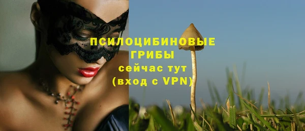прущие крисы Богородск