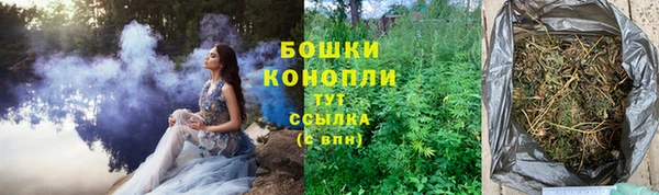 крисы Богданович