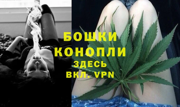 крисы Богданович