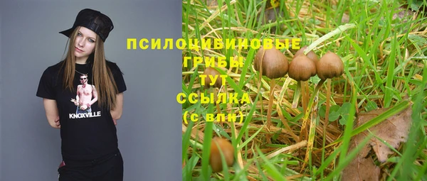 крисы Богданович