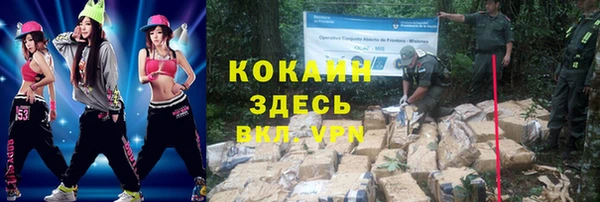 крисы Богданович