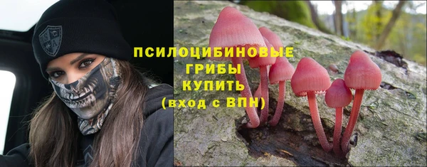 амфетамин Богородицк