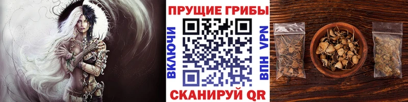 OMG ссылка  где можно купить   Могоча  Псилоцибиновые грибы мухоморы 